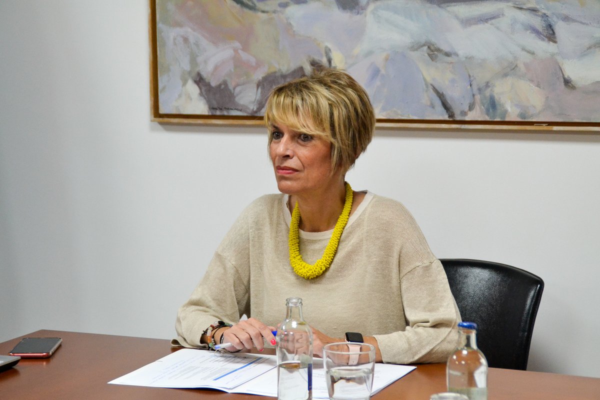 EICAGobCan's tweet photo. La consejera @EcoGobCan, @Elenamanez, y el director de la @agenciaiisi, @caconavarro, se han reunido con la dirección de #Jinte, la Asociación de Jóvenes por la Investigación de ámbito regional, para abordar la situación del colectivo y las oportunidades de mejora y colaboración. https://t.co/1FYh3g5Gwl