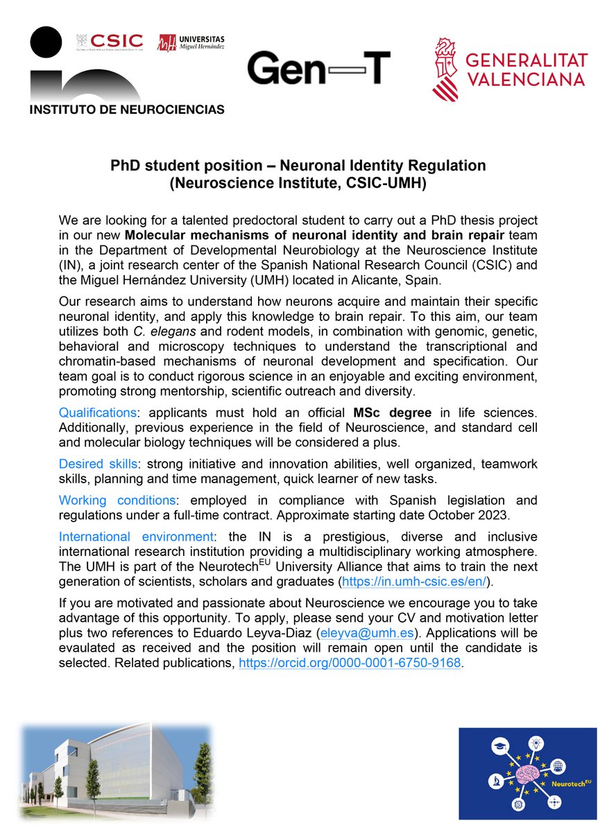 We offer a PhD student position in our Neuronal Identity Regulation team 🧠🔬 at @NeuroAlc. We are looking for highly motivated candidates with enthusiasm on nervous system development and regulation of gene expression #PhDposition #Celegans #Neuroscience 👇👇👇
