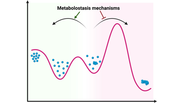 Angewandte Chemie (@angew_chem) on Twitter photo The Metabolostasis Network and the Cellular Depository of Aggregation-Prone Metabolites (Dana Laor Bar-Yosef and co-workers) <a href="/TelAvivUni/">Tel Aviv University</a> <a href="/ShonLevkovich/">Shon Levkovich</a> <a href="/DanaLaor/">Dana Laor Bar-Yosef</a> <a href="/GazitLab/">Gazit Lab</a> #AngewandteReview #openaccess onlinelibrary.wiley.com/doi/10.1002/an… The Metabolostasis Network and the Cellular Depository of Aggregation-Prone Metabolites (Dana Laor Bar-Yosef and co-workers) <a href="/TelAvivUni/">Tel Aviv University</a> <a href="/ShonLevkovich/">Shon Levkovich</a> <a href="/DanaLaor/">Dana Laor Bar-Yosef</a> <a href="/GazitLab/">Gazit Lab</a> #AngewandteReview #openaccess onlinelibrary.wiley.com/doi/10.1002/an…