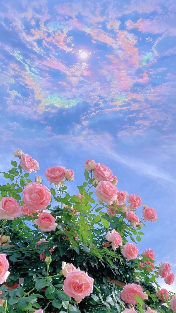 12tmimi's tweet photo. Beautiful day. https://t.co/M1J2vsC4lI