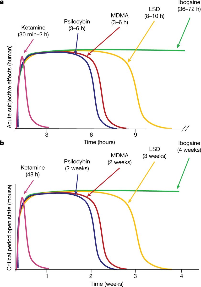 Scientists have found psychedelic drugs reopen the social reward critical learning period,

#HT to <a href="/TurnerNovak/">Turner Novak 🍌🧢</a>. When he's not making us life on Twitter, he's making us think in The Split

nature.com/articles/s4158…