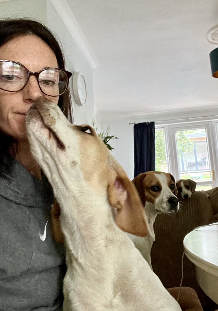 JennyGeeBee's tweet photo. The reality of working from home https://t.co/BI5oNT1Dcx