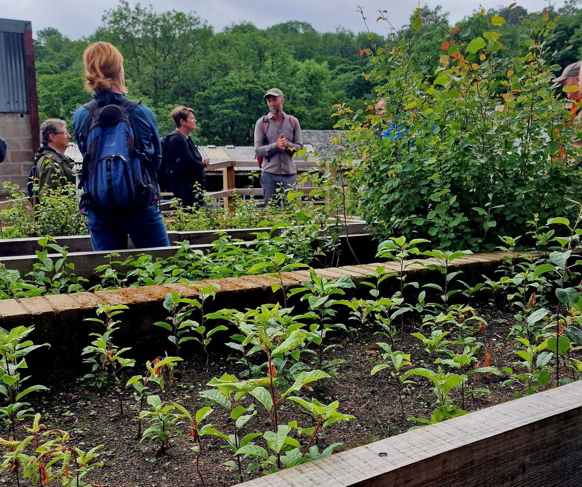 Seeing hills thick with regenerating trees, a rewiggled river showing #rewilding's many benefits and meadows buzzing with life made a dream visit to <a href="/WildHaweswater/">Wild Haweswater</a> 🏔️

Thanks @leeinthelakes <a href="/unitedutilities/">United Utilities</a> <a href="/Natures_Voice/">RSPB</a> for sharing its wonderful – and still unfolding – story.