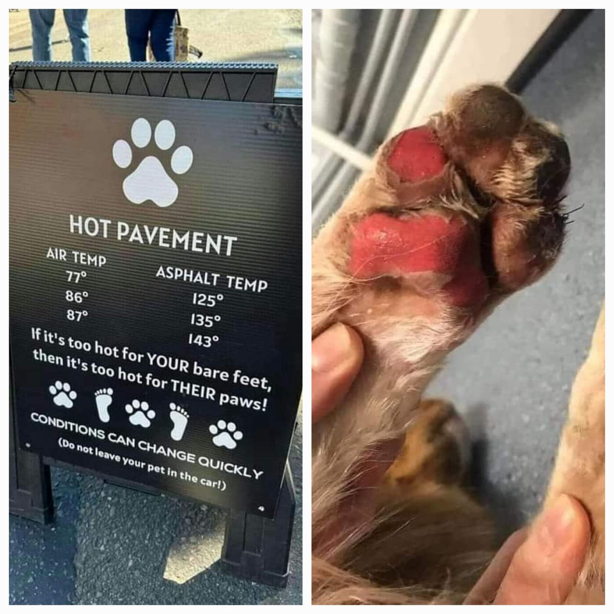 Whilst this warm weather is nice for humans in flipflops, it's not great for our 4 legged friends. If it's too hot for you barefoot, don't make your dog walk on it 🐶