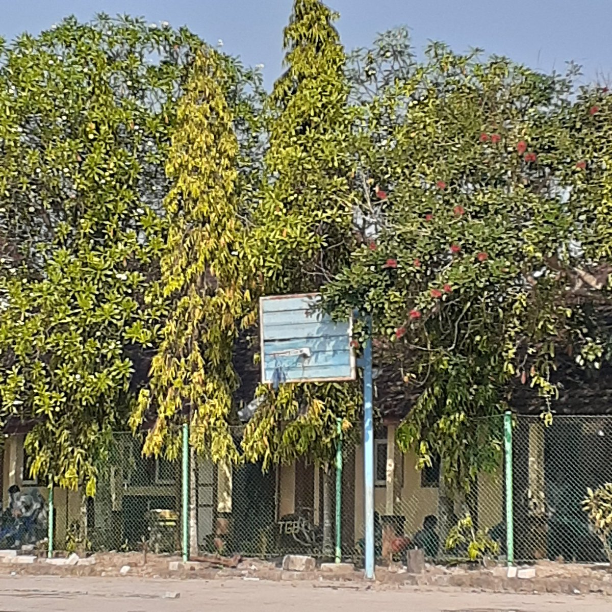 beelaaiu's tweet photo. vibes disekolah tuh kek enak banget ya ga si.. seru2 an brg tmn sambil keliling sekolah kek asikkk bgt gituu.. weee... gkerasa udah liburan aja.. jd kgn sm tmn2 deh.. 😞 https://t.co/s4HaRNy5YN