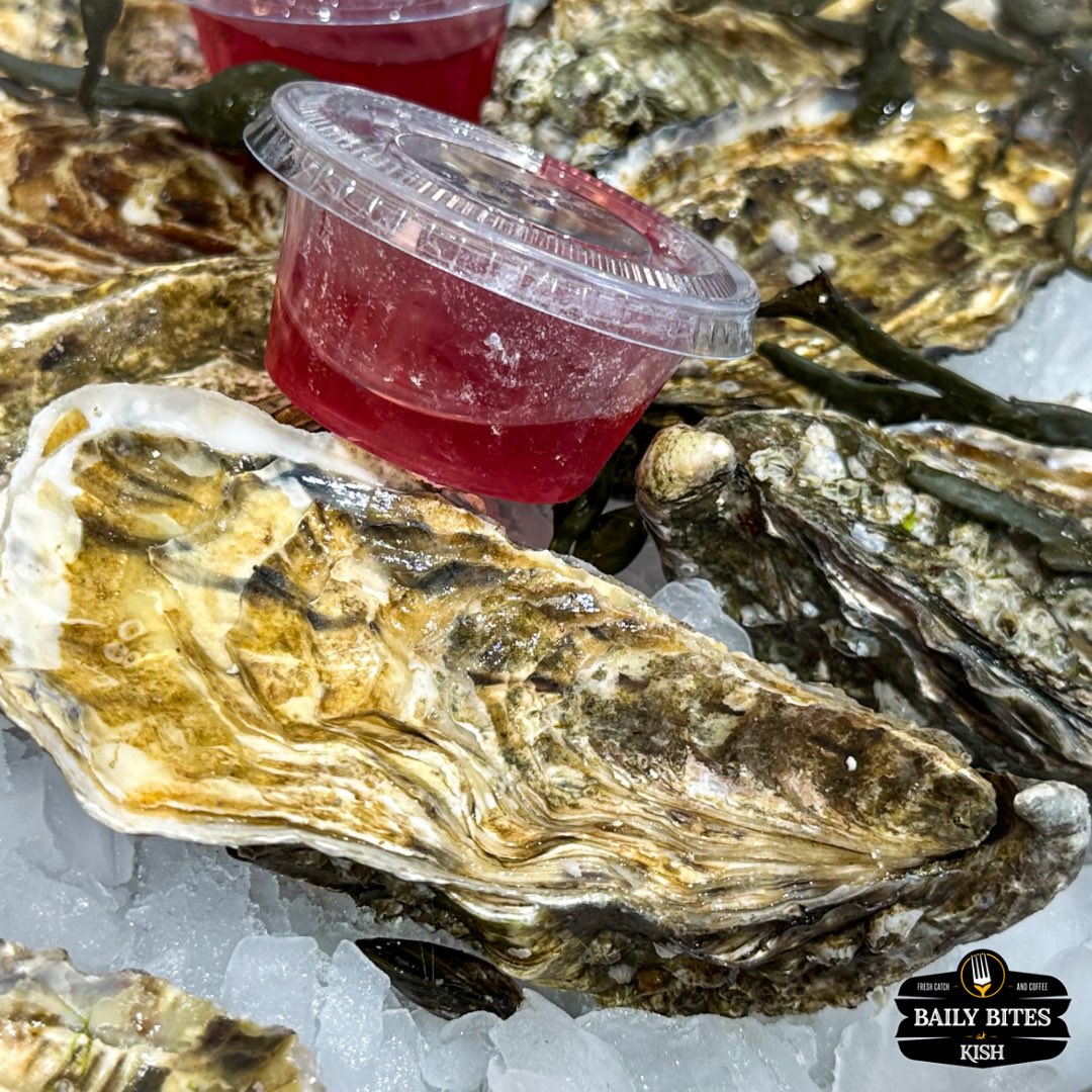 Freshly shucked Irish Oysters 😎🦪

Start your lunch today in style!

We’re open 10am - 5:30pm

#oysters #irishoysters #shellfish #freshcatchandcoffee #bailybites #howth #howthharbour #howthcliffwalk