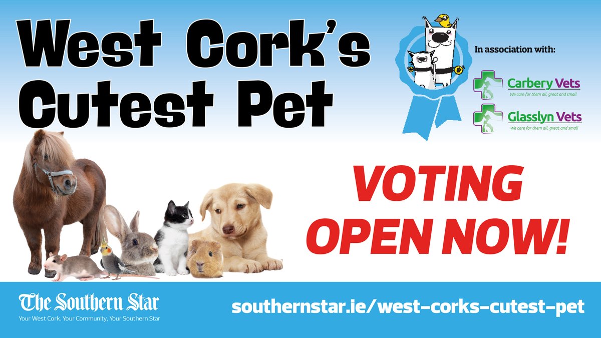 The Southern Star (@southernstarirl) on Twitter photo West Cork's Cutest Pet voting is now open!!
Thanks to our judges <a href="/cronin_siobhan/">Siobhán Cronin🇺🇦</a> <a href="/HollyCairnsTD/">Holly Cairns TD</a> and <a href="/GlasslynVets/">Glasslyn Vets</a> who chose 10 𝒆𝒙𝒕𝒓𝒆𝒎𝒆𝒍𝒚 cute finalists – but we need your help to crown a winner.
Vote here: southernstar.ie/west-corks-cut… West Cork's Cutest Pet voting is now open!!
Thanks to our judges <a href="/cronin_siobhan/">Siobhán Cronin🇺🇦</a> <a href="/HollyCairnsTD/">Holly Cairns TD</a> and <a href="/GlasslynVets/">Glasslyn Vets</a> who chose 10 𝒆𝒙𝒕𝒓𝒆𝒎𝒆𝒍𝒚 cute finalists – but we need your help to crown a winner.
Vote here: southernstar.ie/west-corks-cut…
