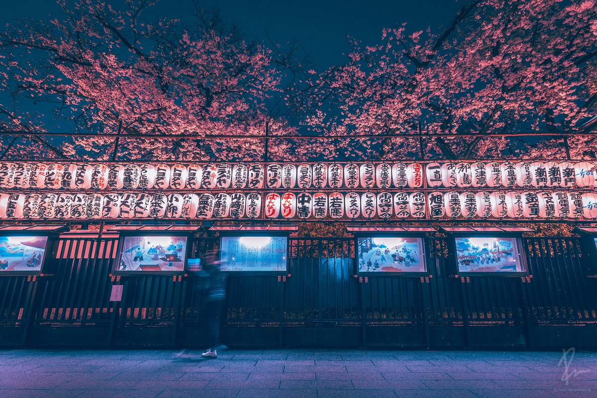 Peera_Foto tweet media