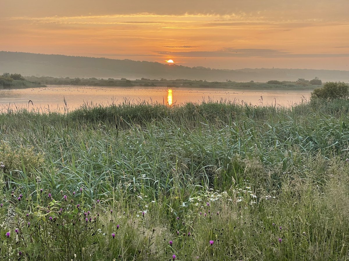 elbonharas's tweet photo. Up at 3am with @itsabargelife to get to RSPB St Aidens Leeds before sunrise 
Spent a very pleasant time wandering watching the flora and forna 
Didn’t see or hear the elusive Bittern, hopefully another day 
Plus side 10k steps already 
#beautiful 
#Sunrise
#knackeredNow 😂😂 https://t.co/G52rF6PGaG