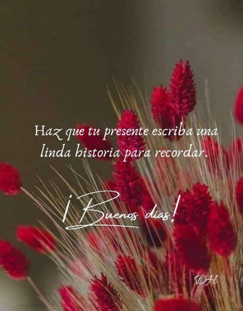dadasilva1974's tweet photo. #felizvi https://t.co/miKJ9FdSMf