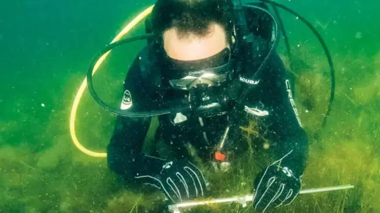 🌊Marmara’nın umudu pina’dan müjde var 

"Marmara’nın umudu pina, pinanın umudu Marmara!"
linkedin.com/posts/cevre-tv…

#ÇevreTV
#TürkiyeninİlkveTekÇevreKanalı