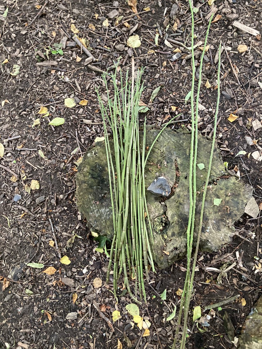 Andy Needham tweet media