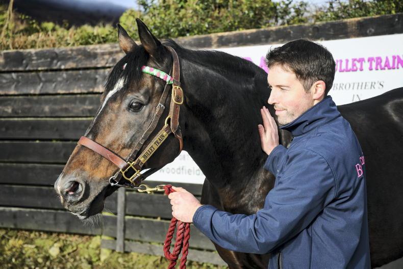 WoodfieldFarm1's tweet photo. BULLET TRAIN on 🔥 with 4️⃣ more Winners. Mon Ami Fuzzie, High Fire, Nats Enough &amp; Cosmic Bullet. BULLET TRAIN by Sadlers Wells is a Half Brother to Champion Stallion FRANKEL who had a brilliant Royal Ascot this Week.🏆🏆🏆 #catchthetrain @IREthoroughbred 
@rpbloodstock https://t.co/PYw0VbogOL