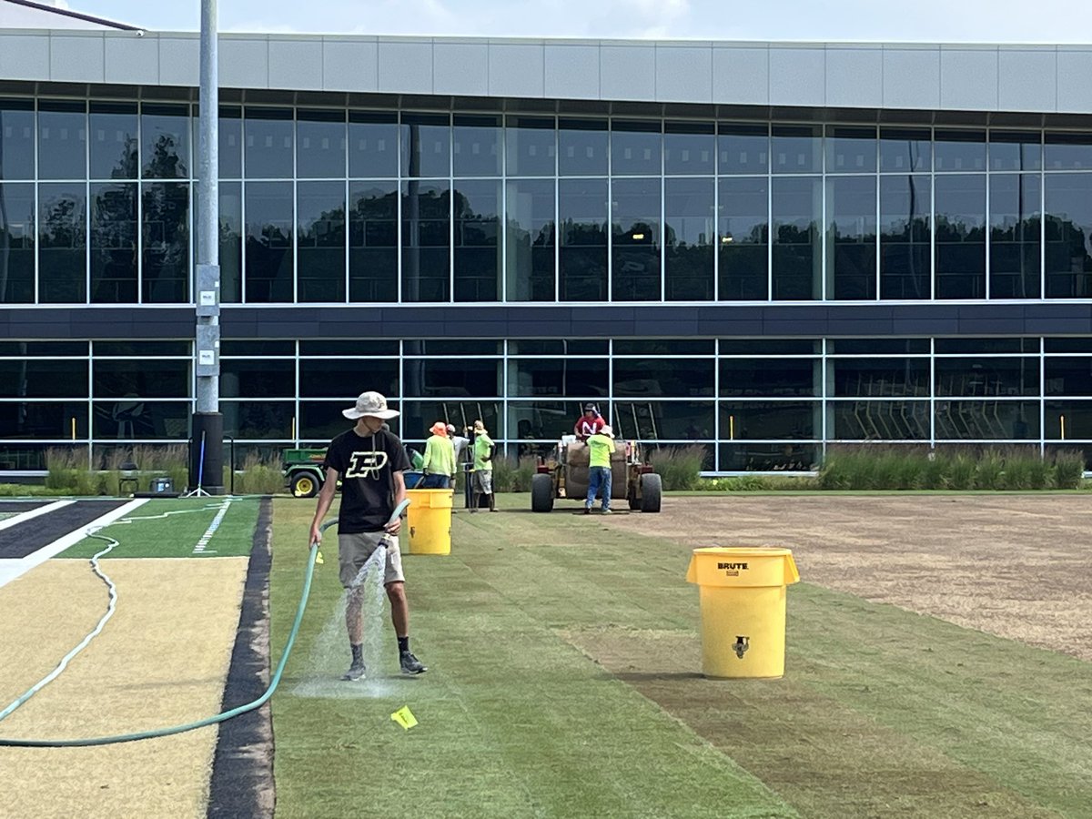 Purdue Sports Turf tweet media