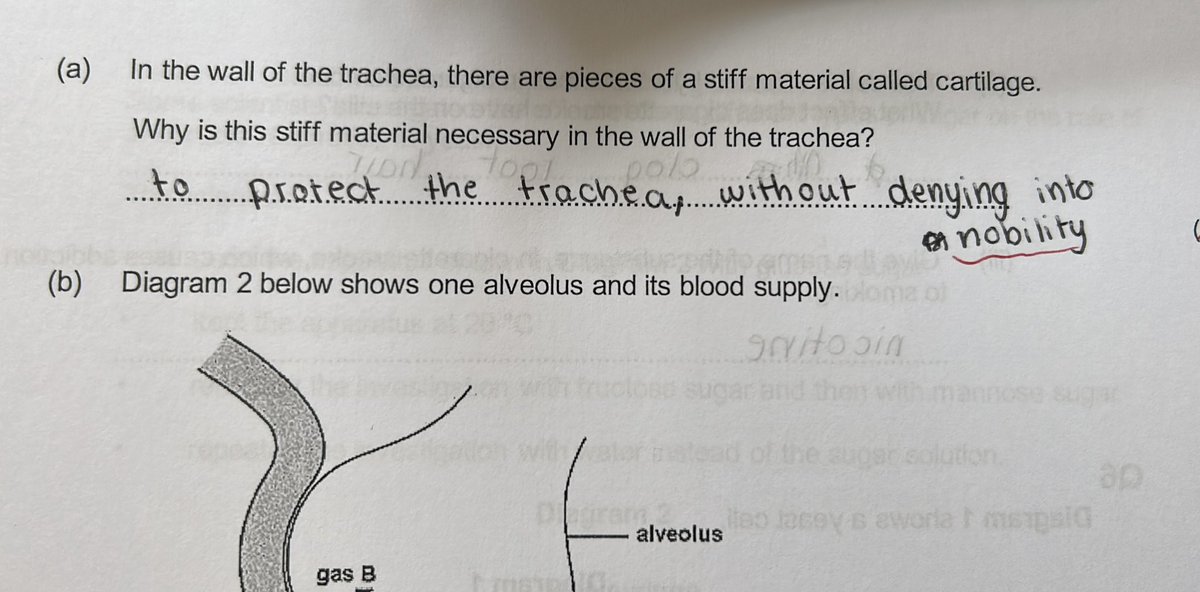 Ah the good old regal trachea!