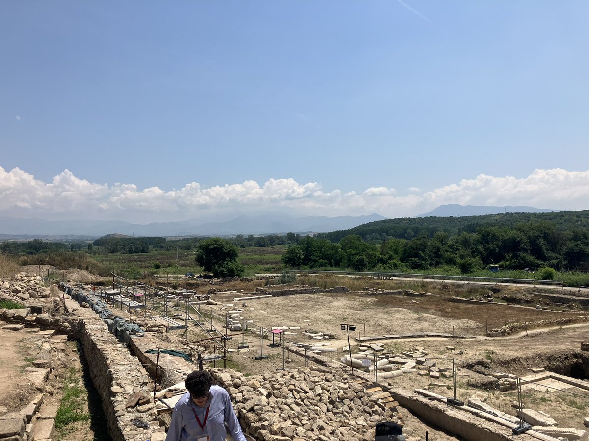 Andrew Meadows tweet media