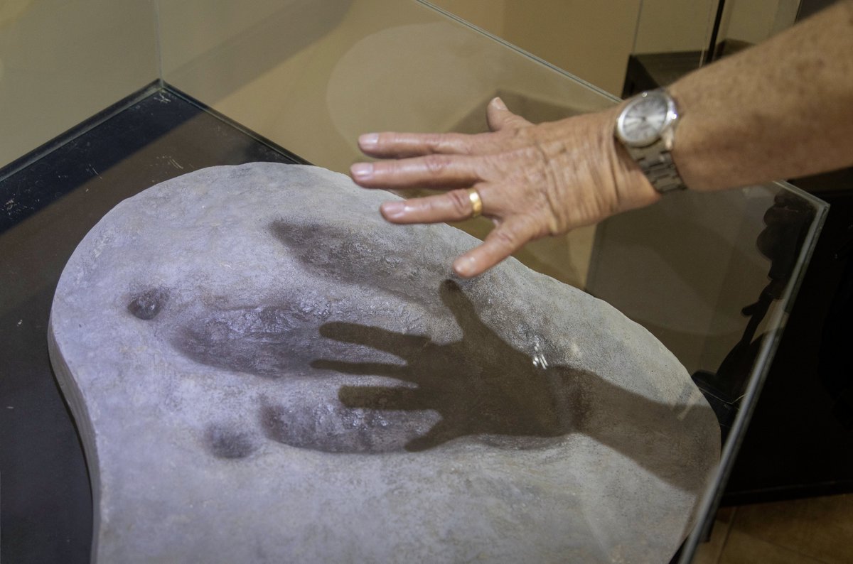 Grete Howard tweet media