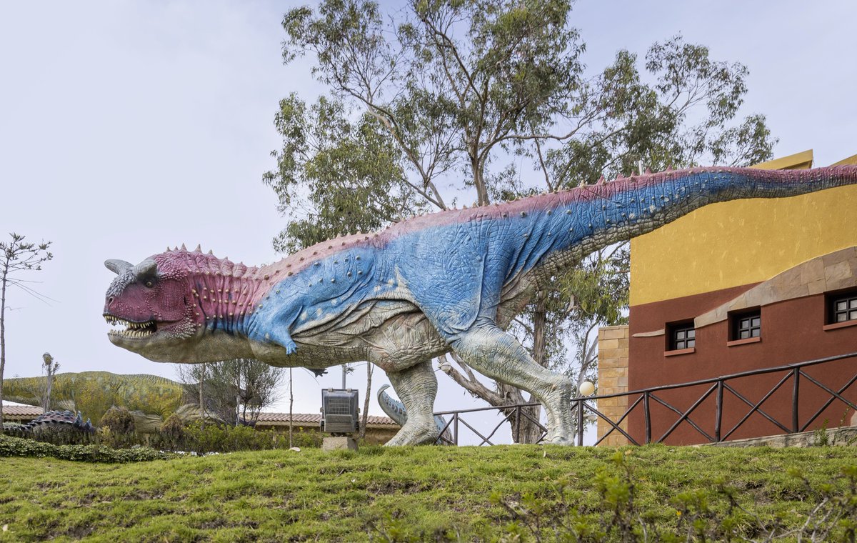 Grete Howard tweet media