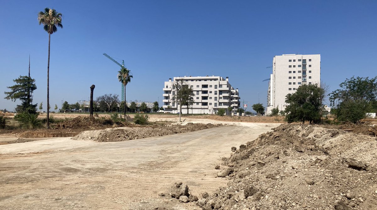 Aquí había un bosque.