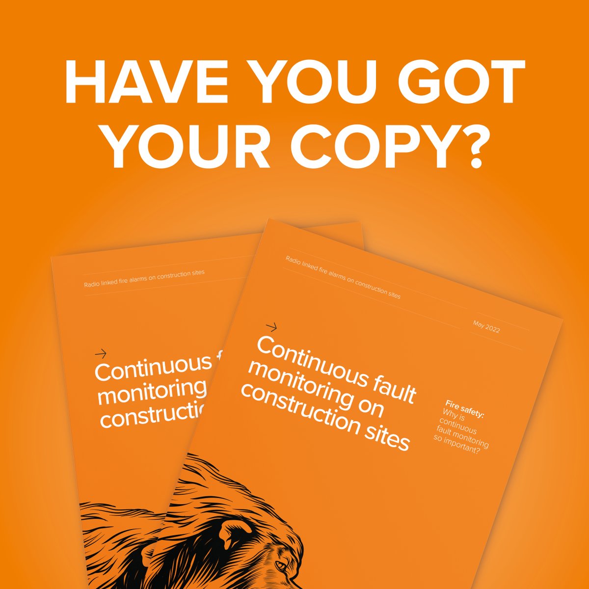 Howler UK tweet media