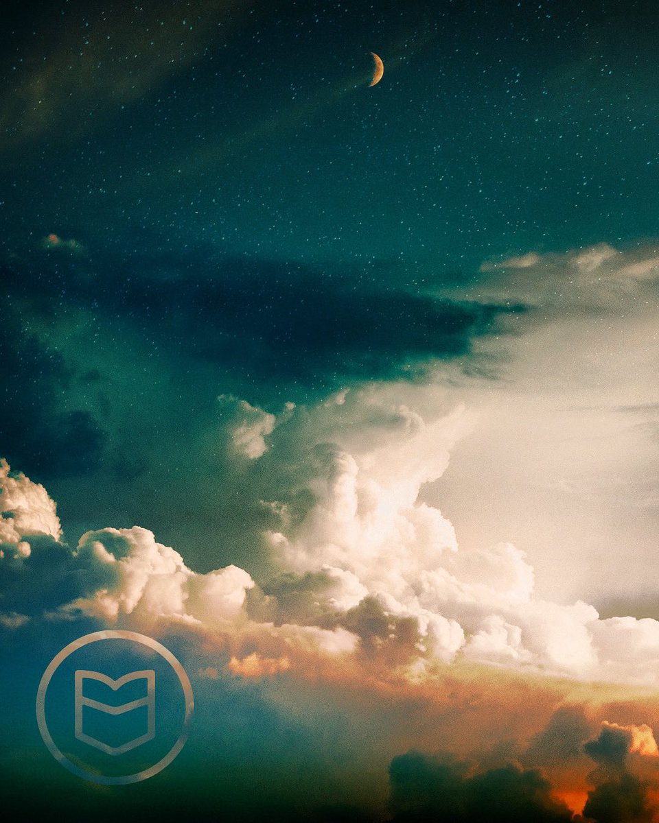 Pockitudes™ tweet media