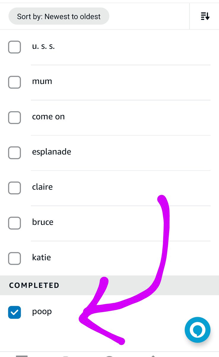 The perils of doing an Alexa to do list in the company of your 6 year old...