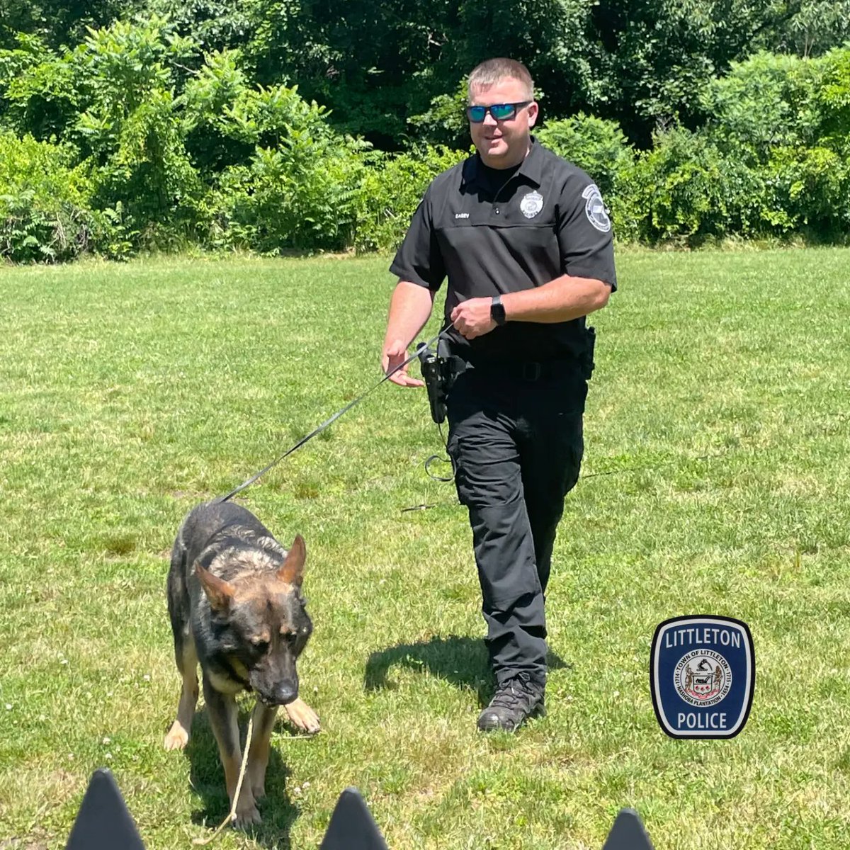 LittletonMAPD's tweet photo. Littleton K9 Vojak and Milo were spotted at Fitchburg State University Police Academy showing the 6th ROC recruits how cool they are. These photos are courtesy of SGT. Tocci #K9Milo #K9Vojak https://t.co/V39N3BMpxR