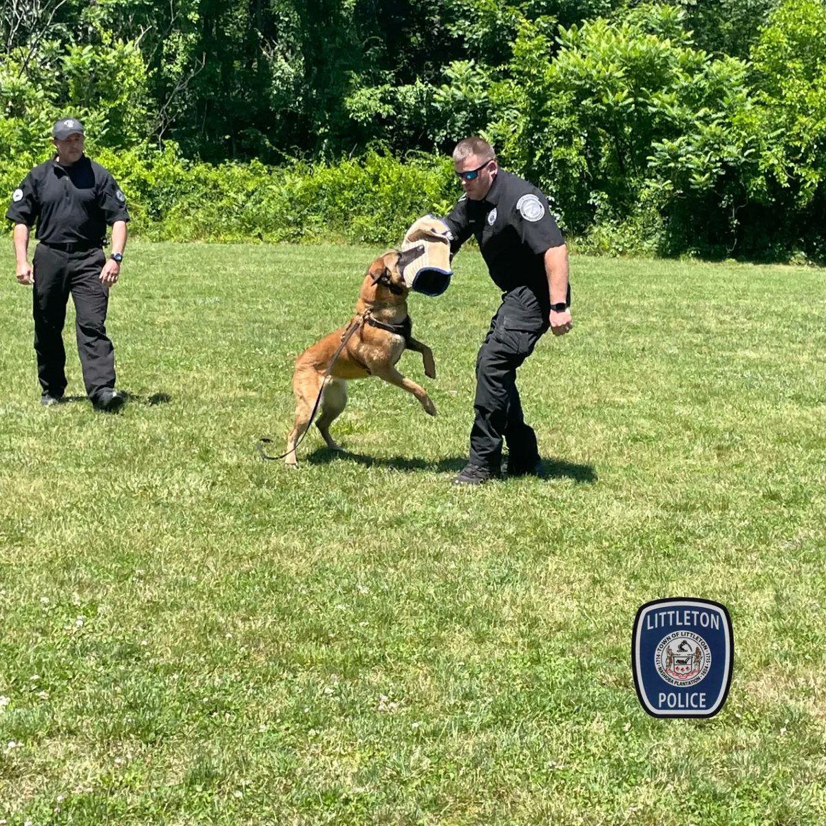 LittletonMAPD's tweet photo. Littleton K9 Vojak and Milo were spotted at Fitchburg State University Police Academy showing the 6th ROC recruits how cool they are. These photos are courtesy of SGT. Tocci #K9Milo #K9Vojak https://t.co/V39N3BMpxR