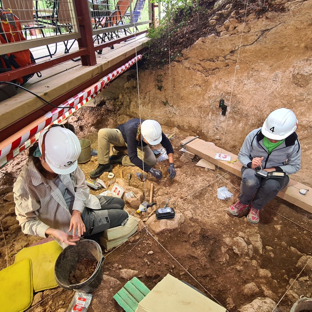 iphes's tweet photo. 🟠 Dos fragmentos de occipital se suman a los restos #neandertales recuperados en los yacimientos de #CovesdelToll i #Teixoneres (#Moià, Barcelona) 🔗 Más info: https://t.co/CB6QVqKJFR https://t.co/jDguatVfcW