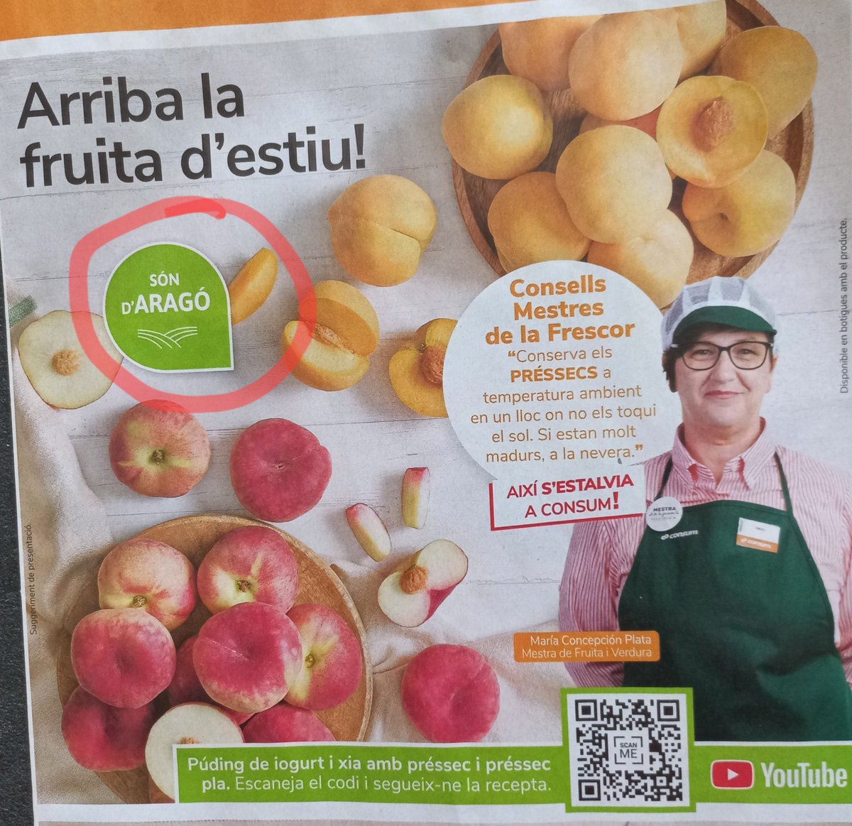 La 🅱️ordeta (de Ponent) tweet media