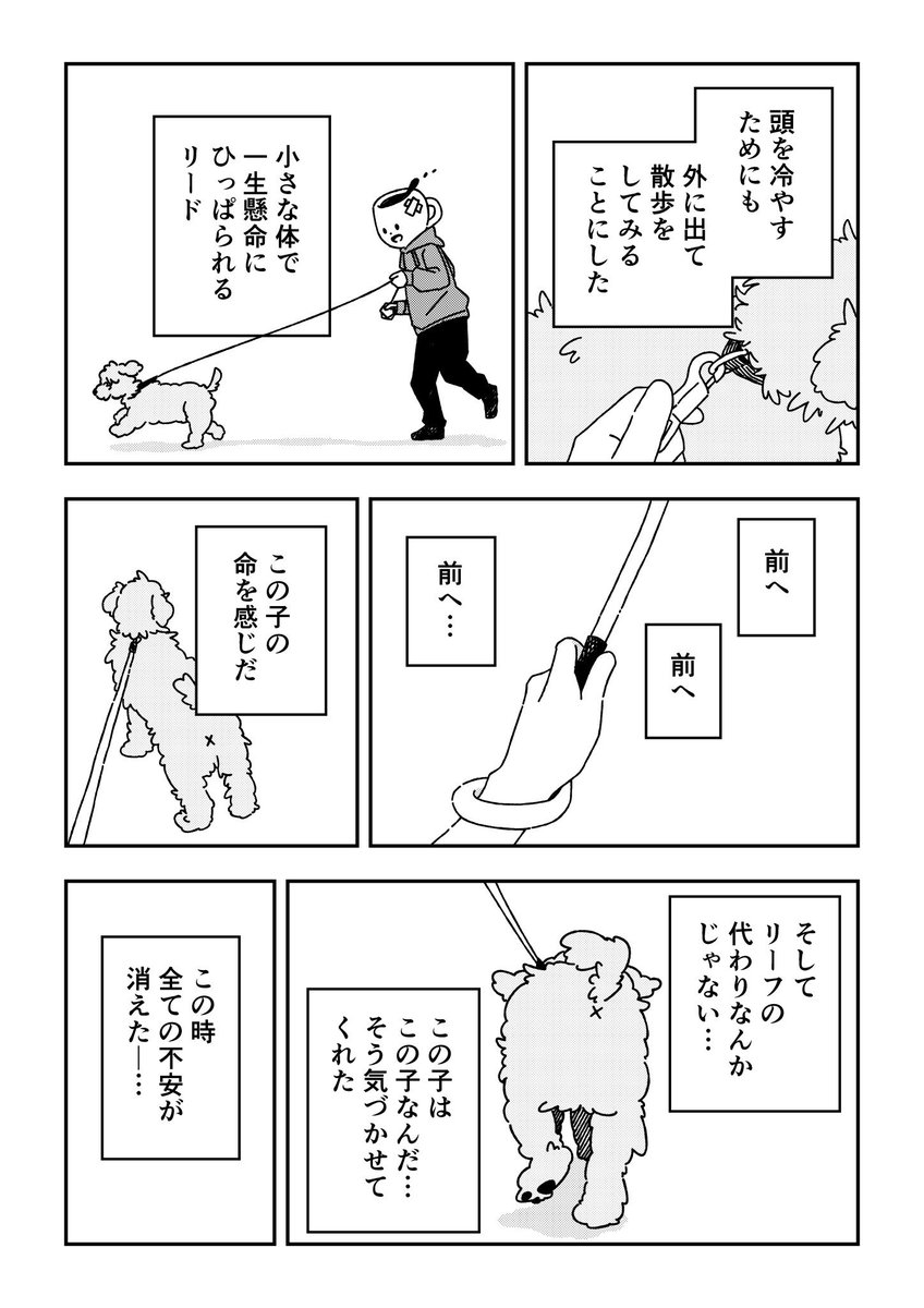 ペットロスを経て、 新しい家族を迎えた時の話🐶(4/6)