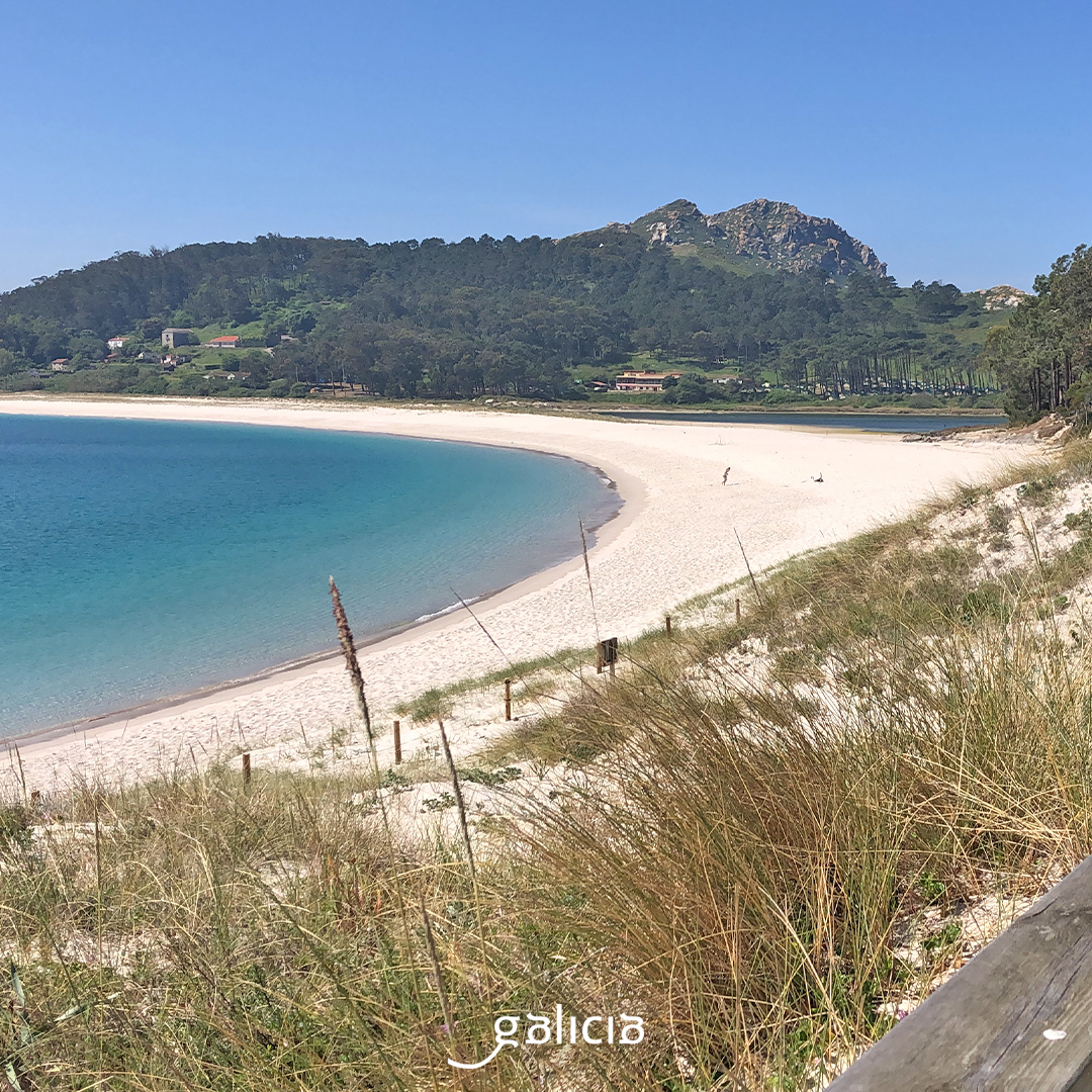 Turgalicia's tweet photo. ⛱️ Primeiro foi The Guardian en 2007 e agora son os lectores de Condé Nast Travel os que sitúan á praia de Rodas, nas Illas Cíes, entre os tres mellores areais de España. E ti, xa a visitaches?
@CNTravelerSpain
#Galicia #PlayasDeGalicia #PlayaDeRodas #IllasCíes https://t.co/rtl3GrJKsn