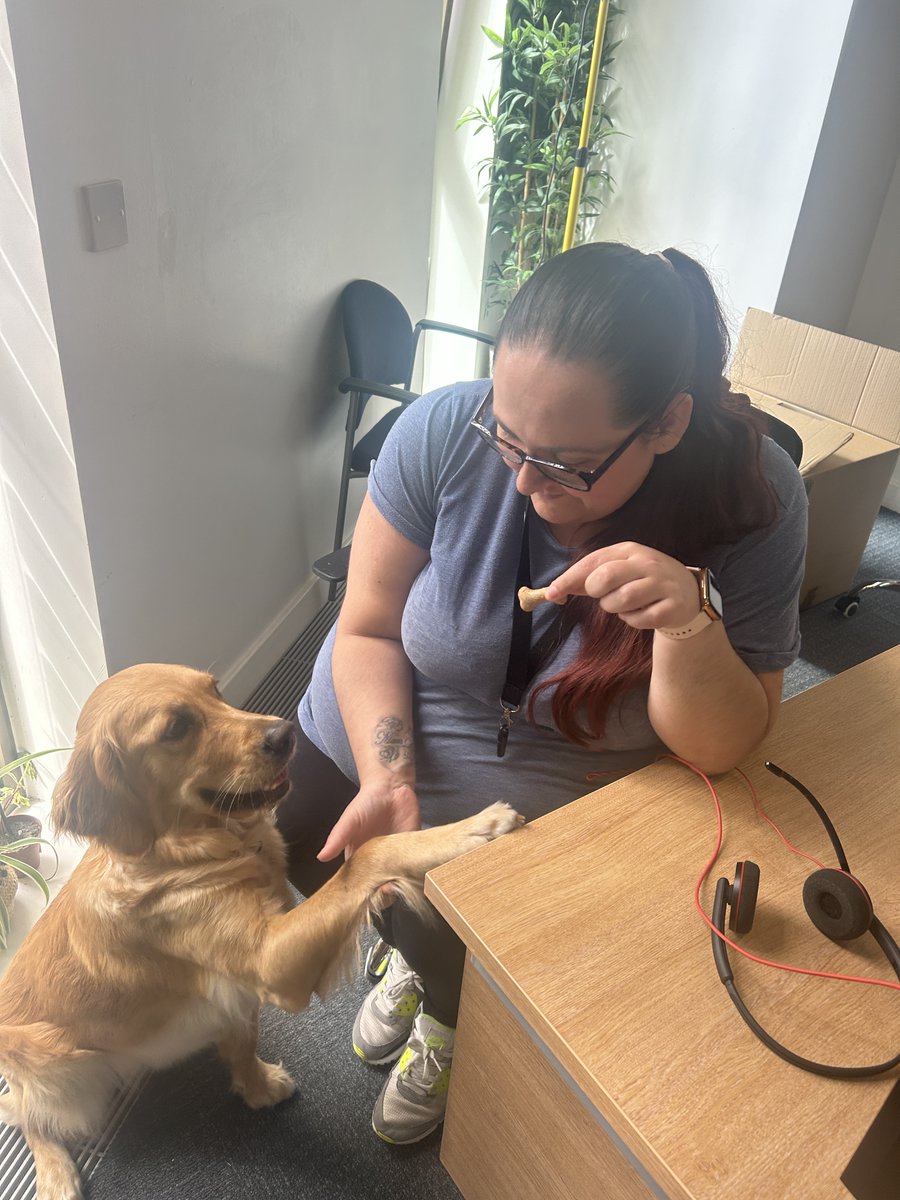 Explain Research tweet media