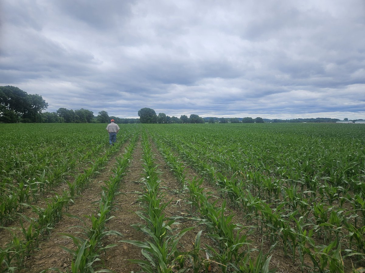 Tyler Stiles tweet media