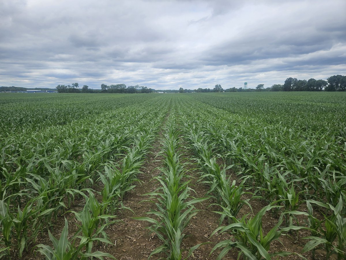 Tyler Stiles tweet media