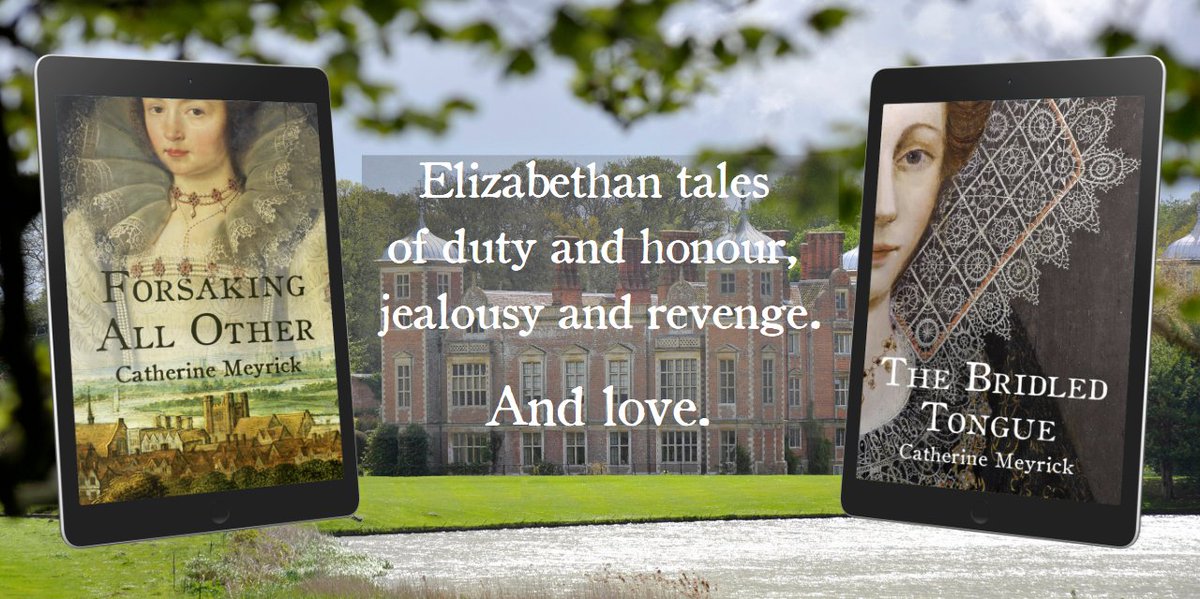 ‘Great characters!’
‘Hard to put down.’
‘Elizabethan England brought vividly to life.’

#HistoricalFiction #Elizabethan #WomensFiction
books2read.com/BridledTongue
books2read.com/ForsakingAllOt…