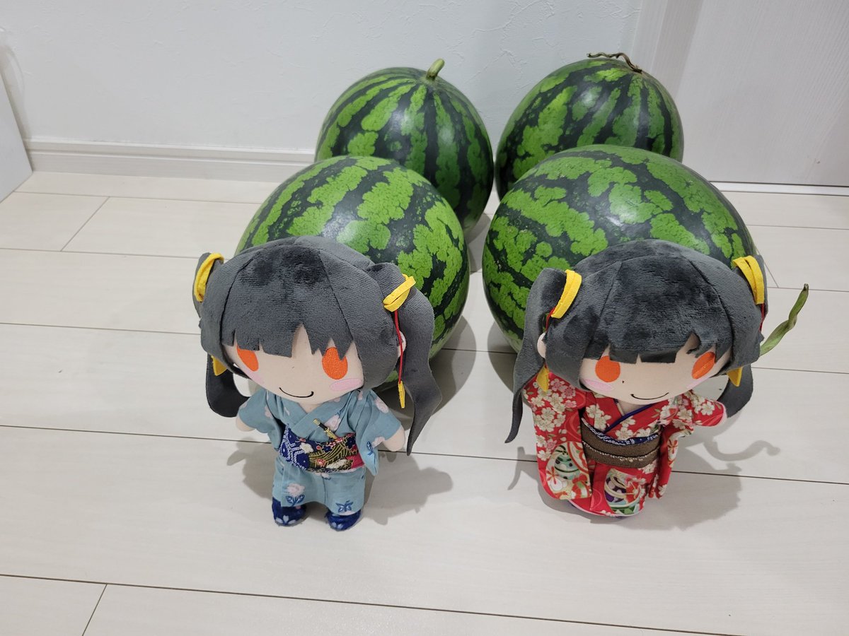 ぬい西瓜