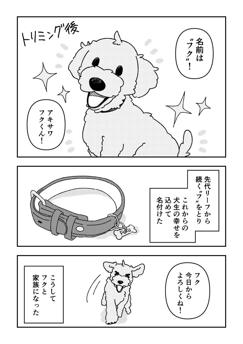 ペットロスを経て、 新しい家族を迎えた時の話🐶(5/6)