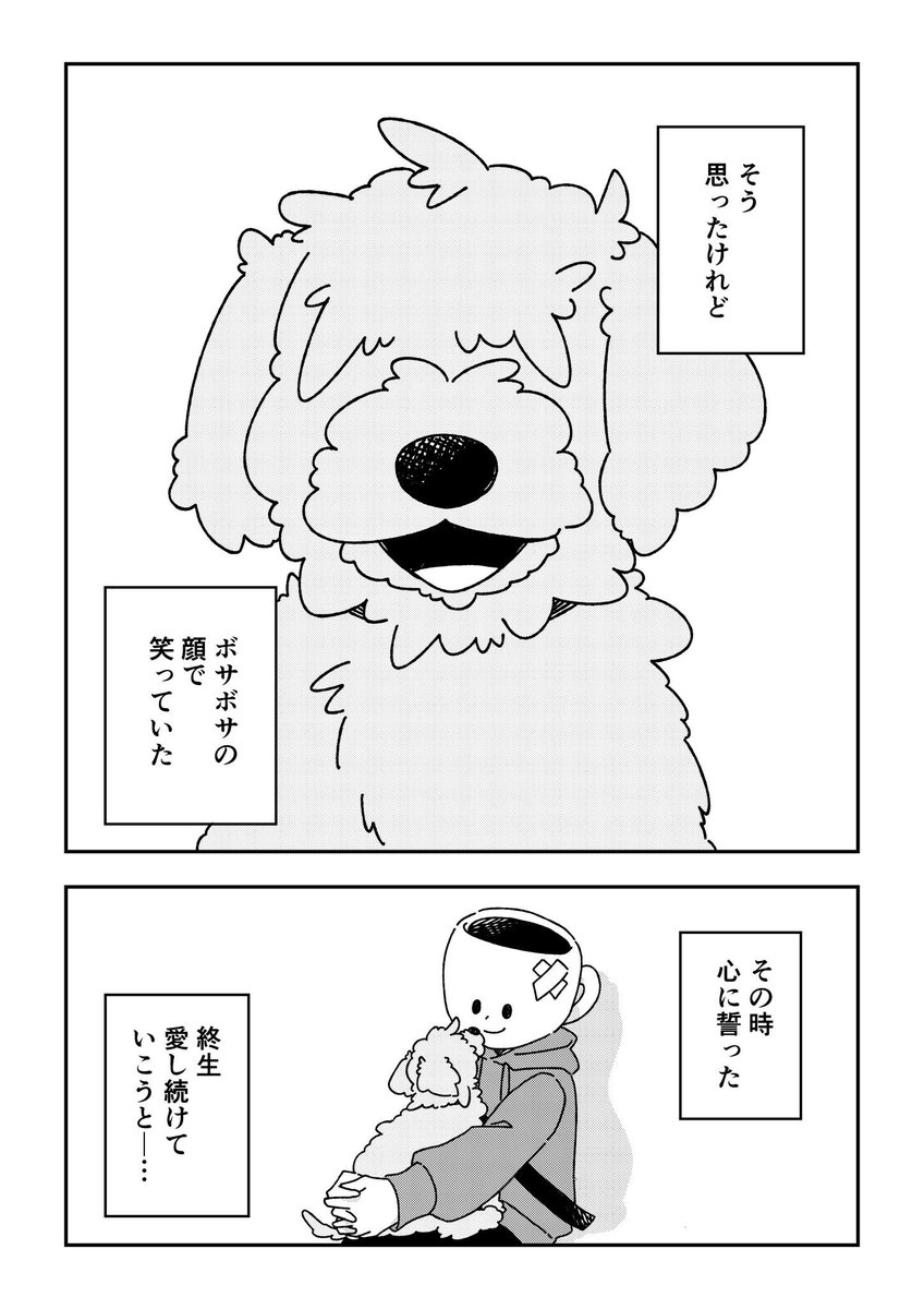 ペットロスを経て、 新しい家族を迎えた時の話🐶(5/6)