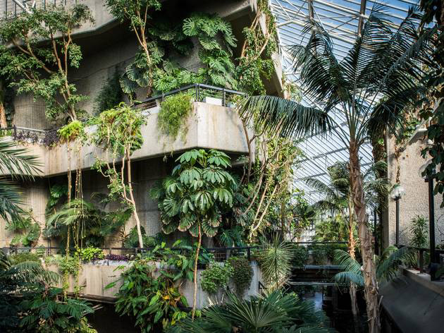 Barbican Conservatory