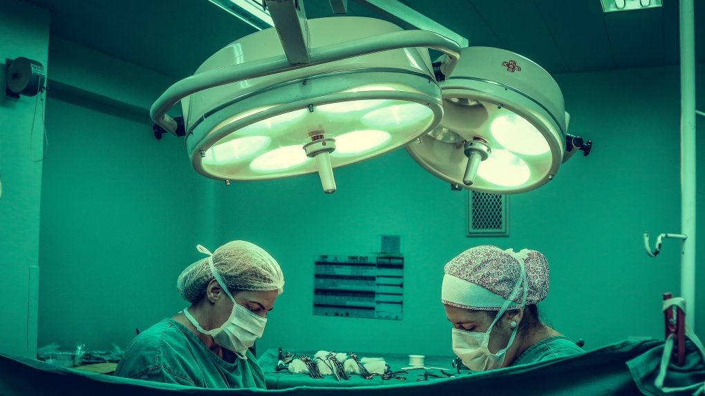 CTV News tweet media