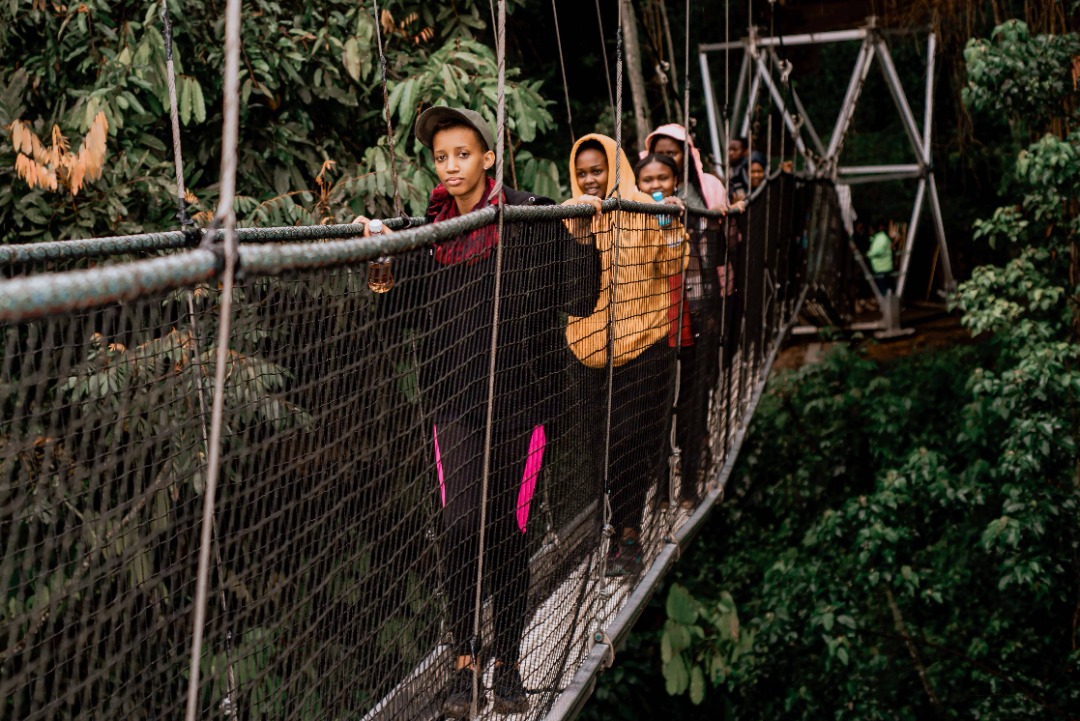 UpExplore's tweet photo. do u want to start a new month of July with new and fresh mind? please join our trip on3rd to @NyungwePark and we explore the beauty of it #canopywalkway ndambarare #Waterfall @RDBrwanda @PaMigambi https://t.co/XnAnFkSPMZ