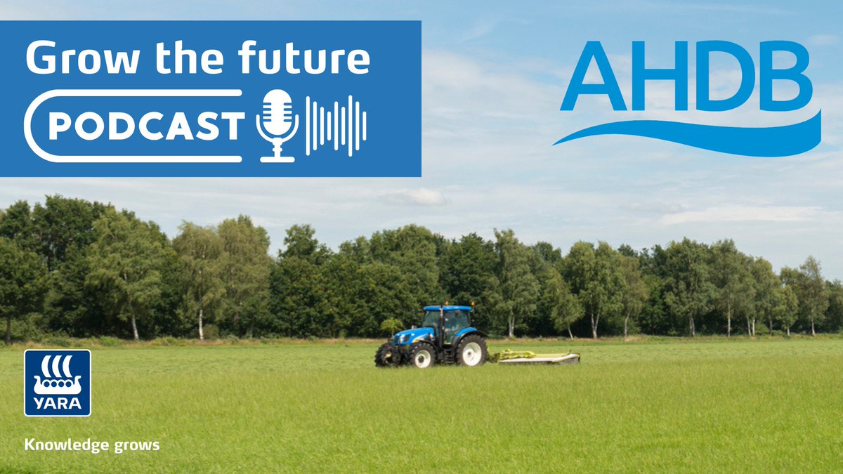 AHDB_BeefLamb's tweet photo. 📣It's Friday, so it's #ForageForKnowledge day. Listen to @EvansKatie215 from @TheAHDB explain the benefits of this project with @Yara_Ireland 👉https://t.co/XWdNX3xOxA
Sign up👉https://t.co/f0brIOB7oR to receive our weekly email✅
#TeamSheep #TeamBeef #TeamDairy https://t.co/gLvkZYNjiU