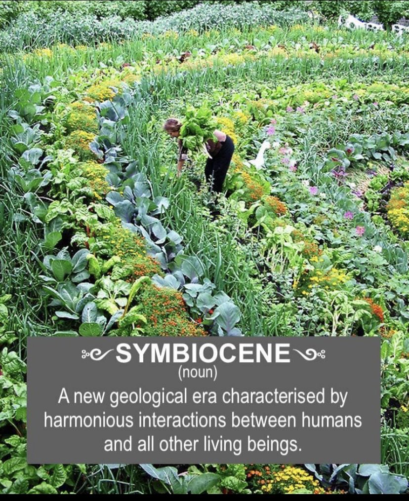 lynhicks's tweet photo. Happy weekend! Be part of building a new way and world! #inspiration #integration #natureflows #goodvibes https://t.co/TjcYRaQrWI