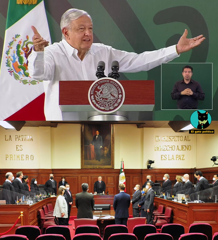 El gato político tweet media