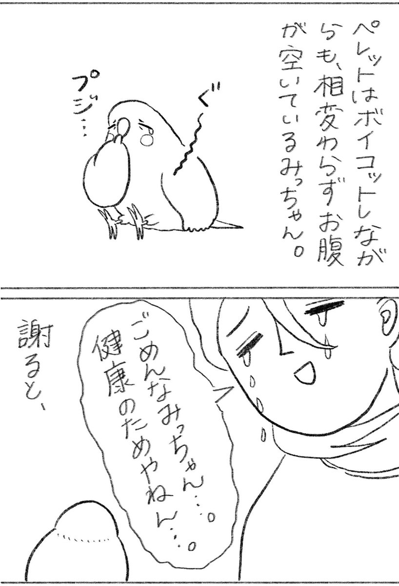 こちらも見てね🐥 