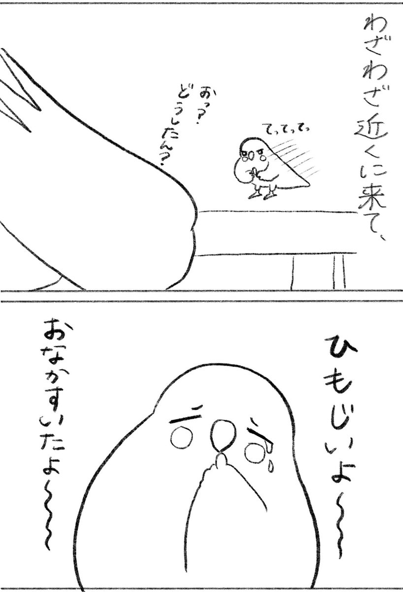 こちらも見てね🐥 