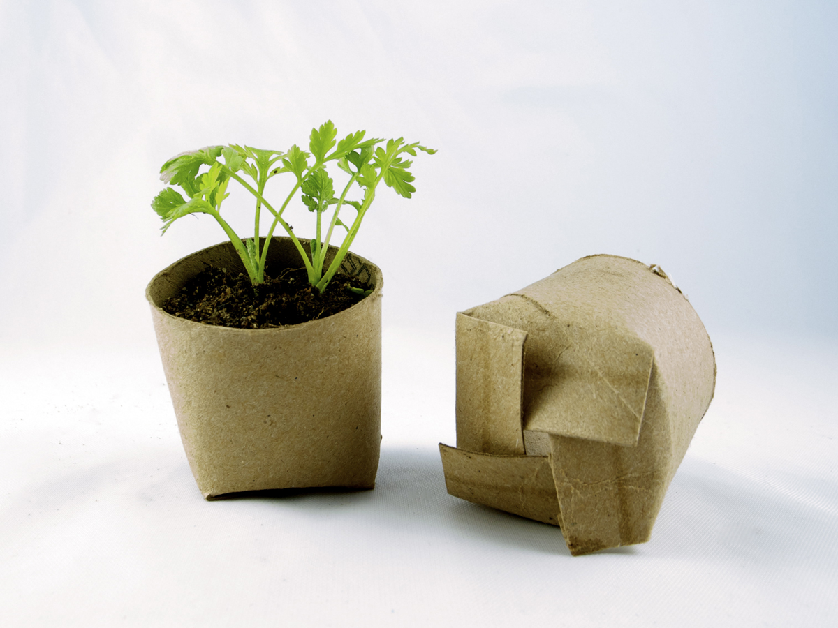 Toilet paper seedlings cup diy crafts
Get this image on Wikimedia Commons
#mitdiy #crafts #seeds #makeityourself #diy #children #entertainment