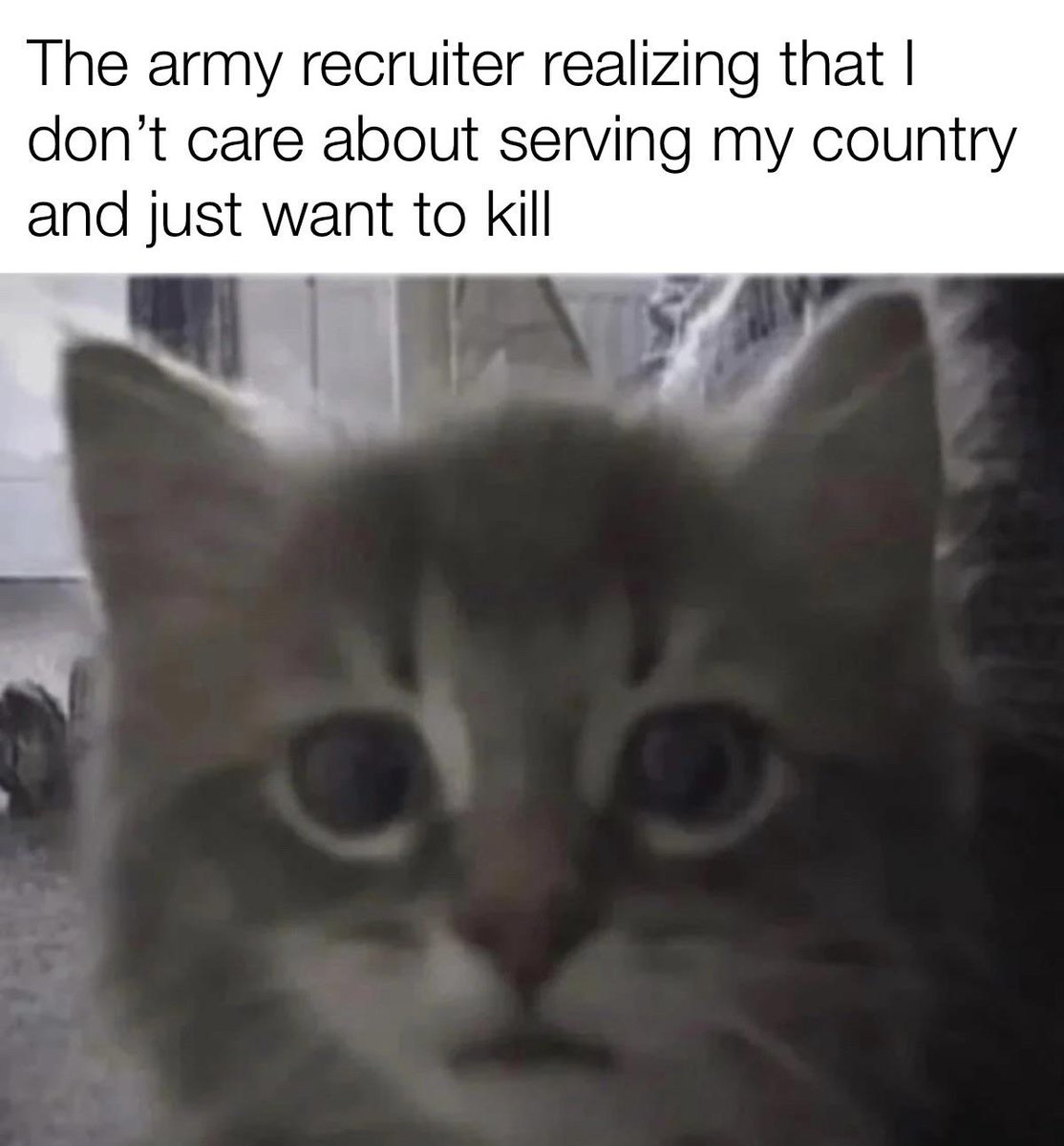 Dank Memes tweet media