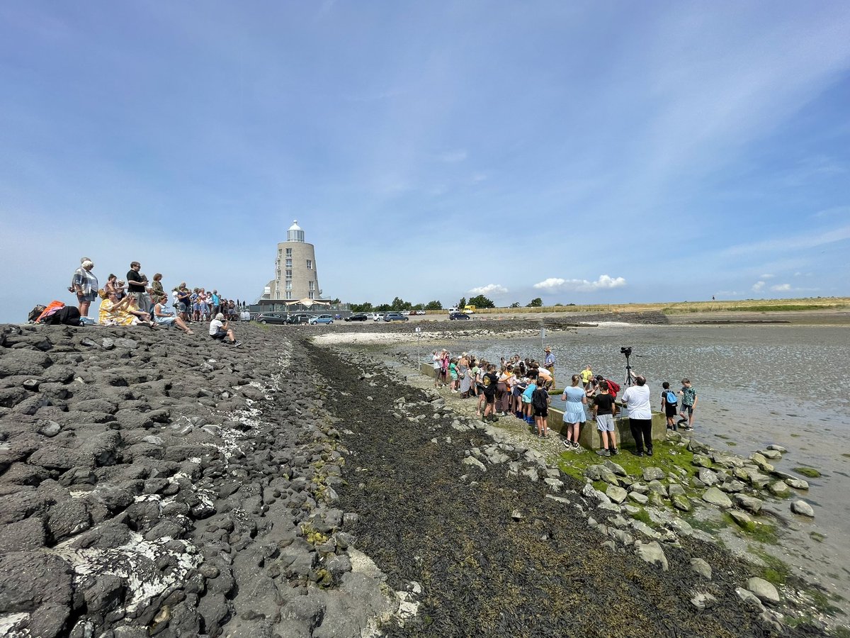Opening van de getijdenbakken in de Oosterschelde op Tholen met de Natuurvereniging Tholen, een kijkje in het unieke onderwaterleven van Nationaal Park Oosterschelde zonder nat te worden! 😀🐟🦀🦐